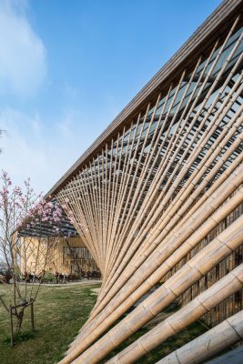 New Pastoralism Lecture Hall