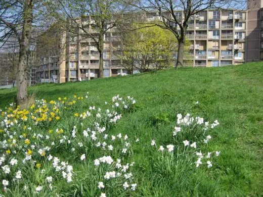 Sheffield building landscape