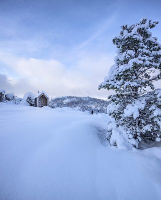 Preikestolen Cabin