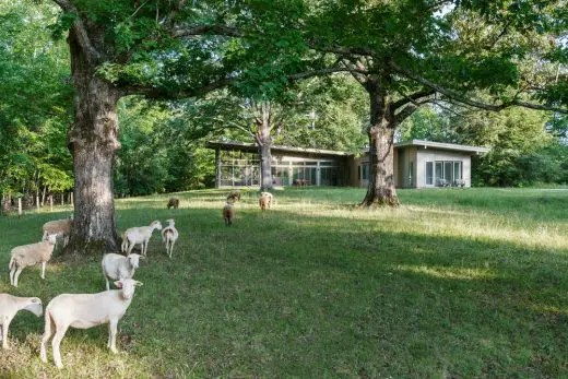 The Hammock House