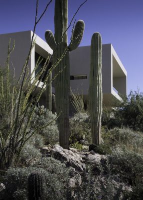 Home 901 in Sabino Springs Tucson