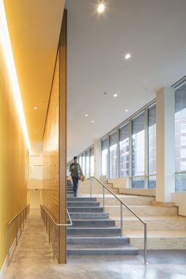 Institute for Data Science, University of Rochester, NY