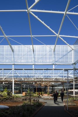 Tonsley Main Assembly Building (MAB), Adelaide