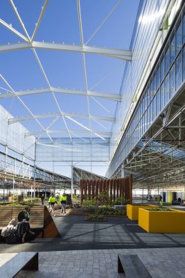 Tonsley Main Assembly Building (MAB), Adelaide