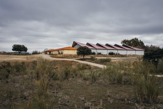 Horse Riding Field in Cattle Farm Madrid