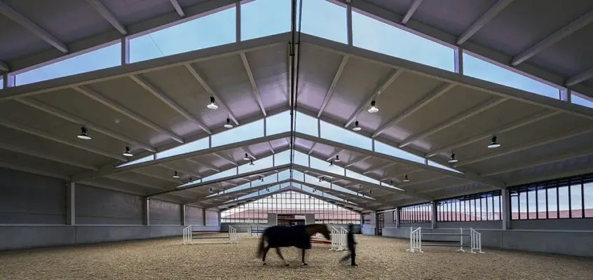 Horse Riding Field, Cattle Farm Madrid