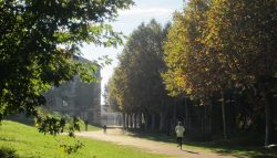 Le Jardin Niel Toulouse