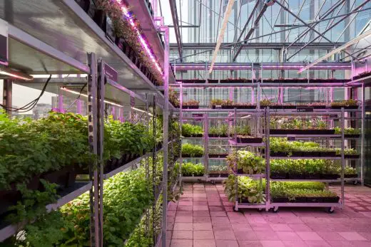 The Green House in Utrecht