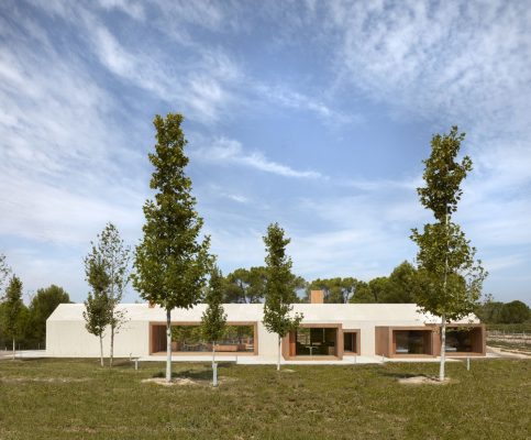 Cottage in the Vineyard