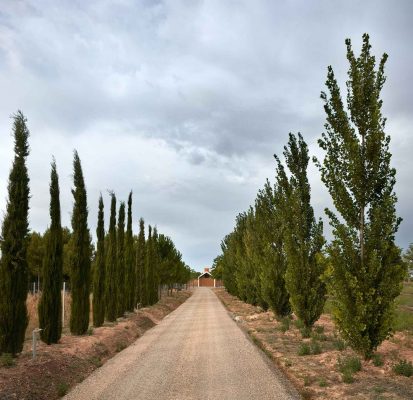 Vinyard Cottage in Fontanars