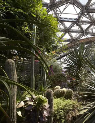 Eden Project biome