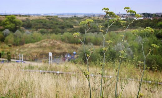 Thamesmead Regeneration: Landscape & Green Infrastructure Strategy