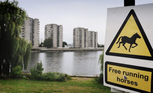 Thamesmead Regeneration: Landscape & Green Infrastructure Strategy