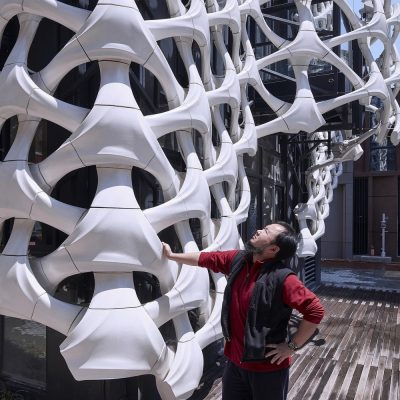 Arachne 3D Printed Building Facade in China
