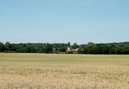 Arts and Music Venue at Stapleford Granary near Cambridge