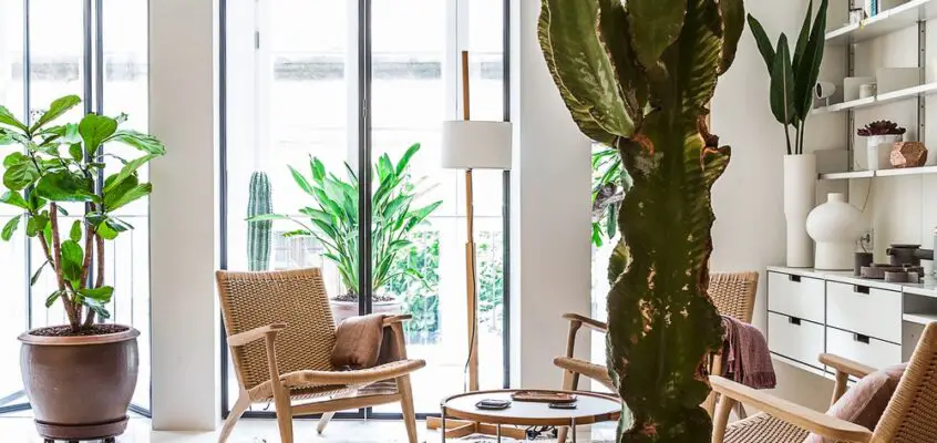 Argentona apartment Barcelona