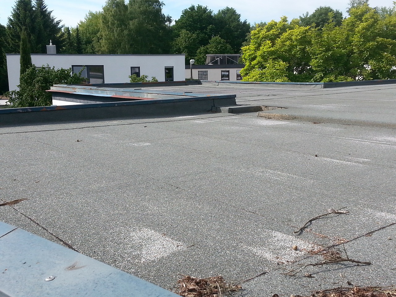 Choose a flat roof for your building