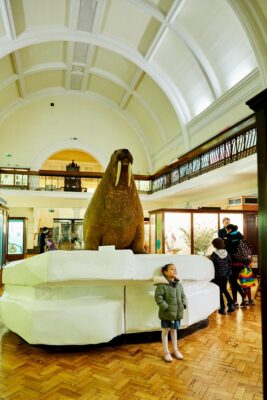 Horniman Museum and Gardens