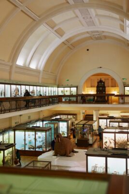 Horniman Museum and Gardens