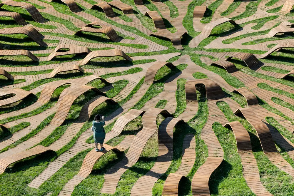 Root Bench in Seoul