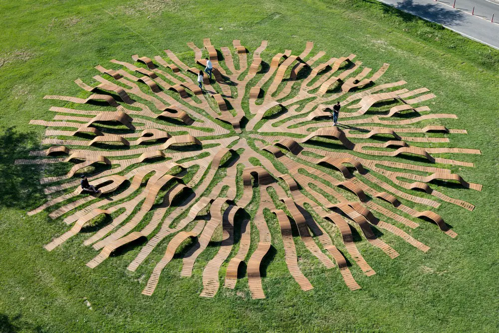 Root Bench in Seoul