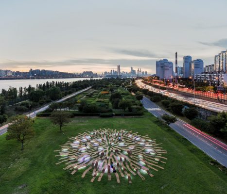 Root Bench in Seoul