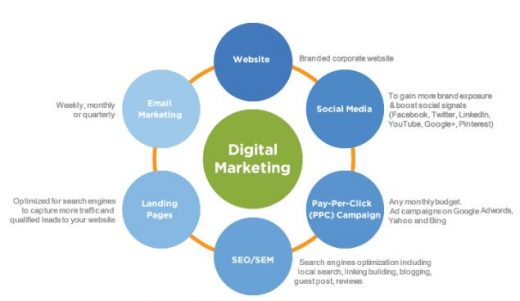 Social Media Marketing Program Reviews