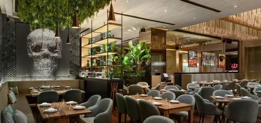Peyote Restaurant in Dubai, UAE