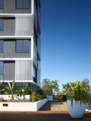 Park Avenue Apartments in Springfield Brisbane