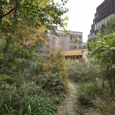 Phoenix Garden Community Building in London