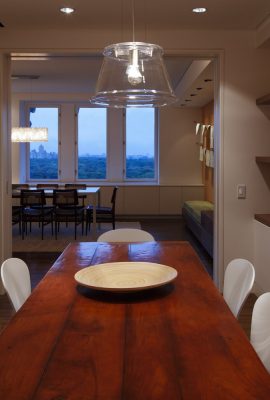 View Over Central Park Apartment in Manhattan