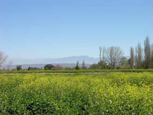 Casa en la Finca near the Andes Mountains