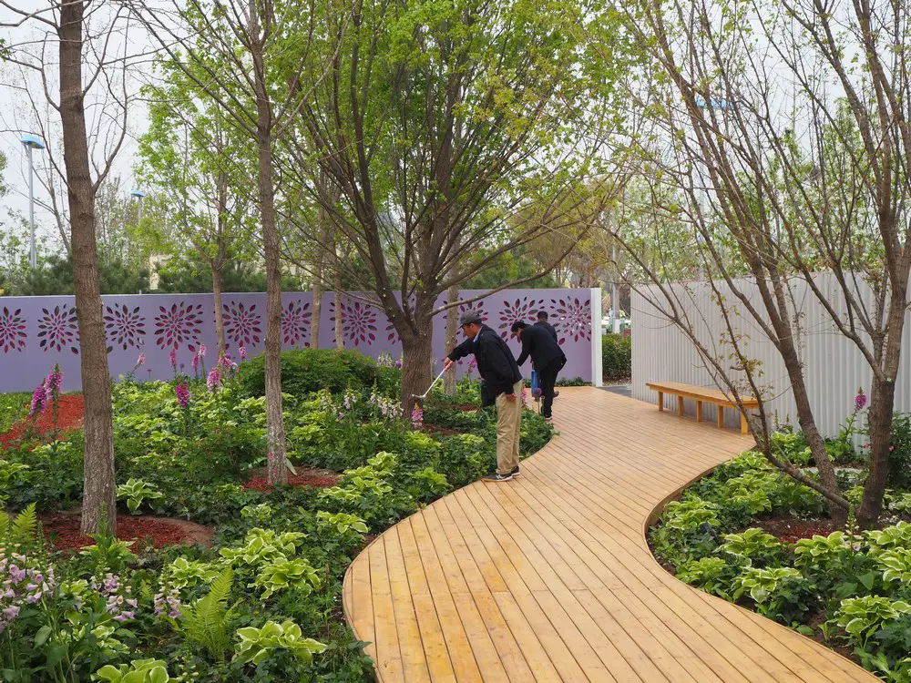 Rewilding Garden Beijing Expo 2019 landscape