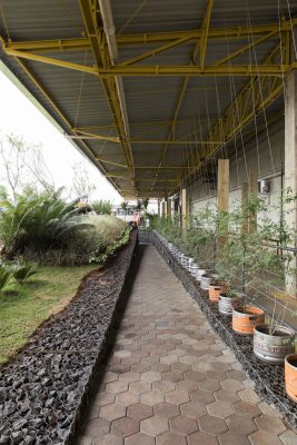 Brazilian Colorado Brewery, Toca do Urso Ribeirão Preto