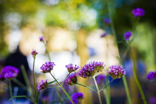 Milner Square Barnsbury gardens London Architecture News