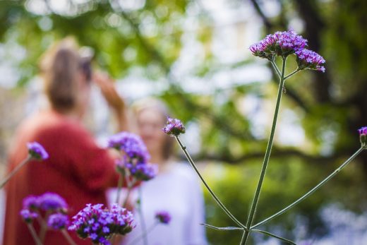 Milner Square Islington North London gardens - Guide to Creating a Sustainable Garden