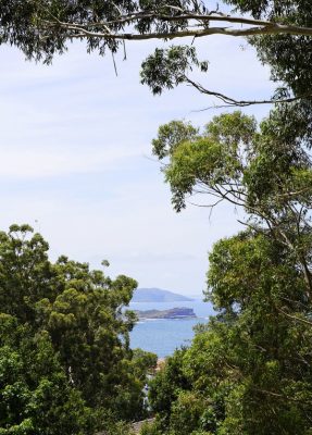 The Weekender on Avoca Beach NSW