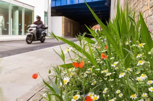 Ewer Street meadow Southwark London