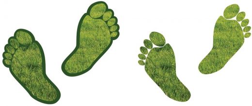 6 Tips to Reduce Your Commercial Properties Carbon Footprint