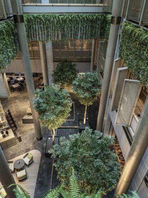 Sheraton Shenzhen Nanshan, Xili Hotel lobby bar trees