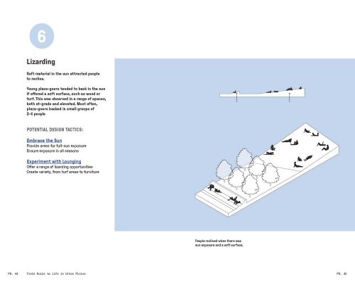 SWA Group Field Guide to Life in Urban Plazas