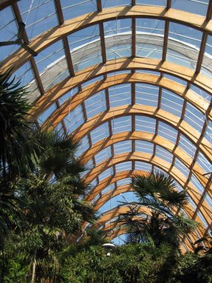 Winter Gardens Sheffield Architecture Tours