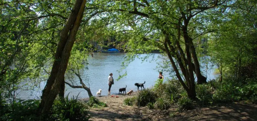Case for a River Thames Cultural Vision