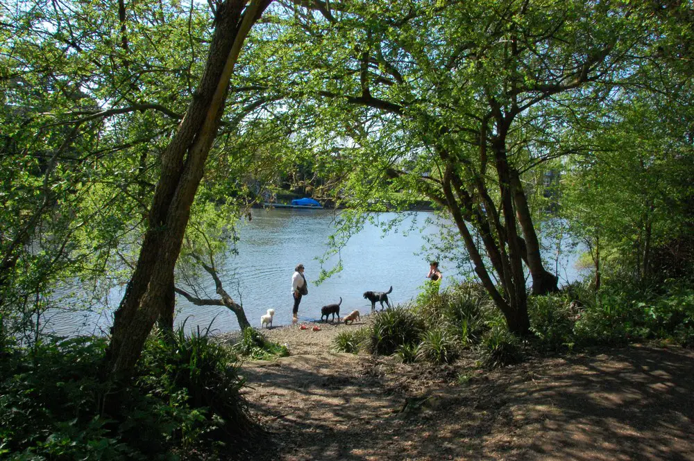 The Case for a River Thames Cultural Vision England