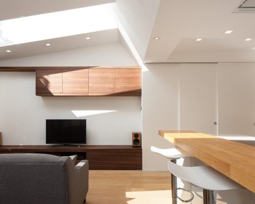 2 Ferndale, Bromley House by Conibere Phillips Architects