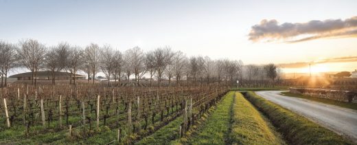 Le Dome Winery Saint Emillion Bordeaux