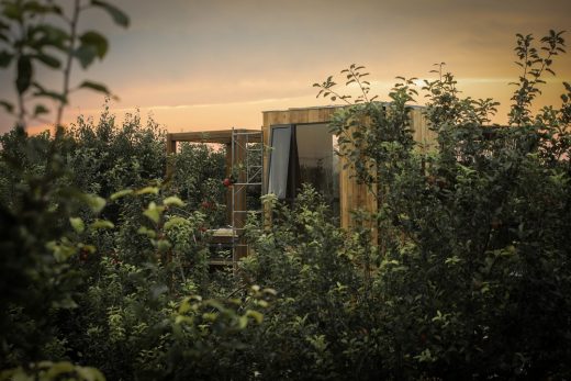 pear orchard cabins in the forest in China