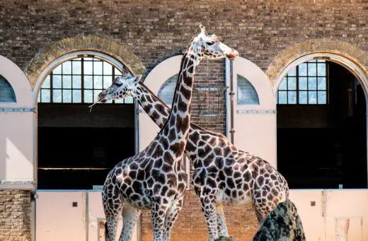 Giraffe House London Zoo