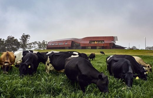 Bannister Downs Dairy Northcliffe