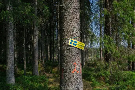 tree no.22 felled for Expo 2020 Dubai, the Swedish pavilion The Forest